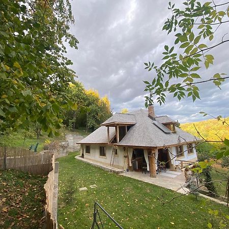 Willa Casa Cu Sindrila Vălenii de Munte Zewnętrze zdjęcie