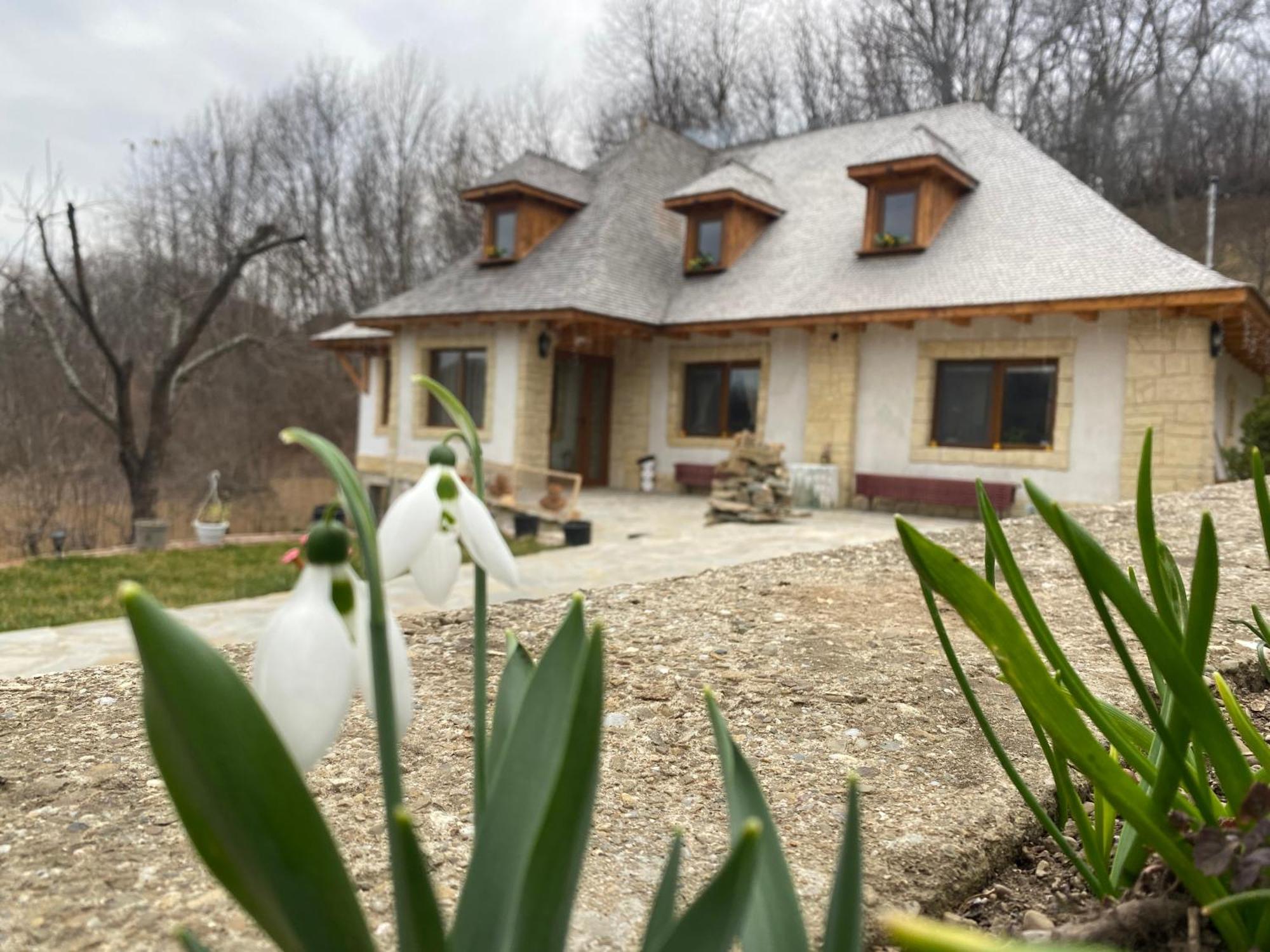 Willa Casa Cu Sindrila Vălenii de Munte Zewnętrze zdjęcie