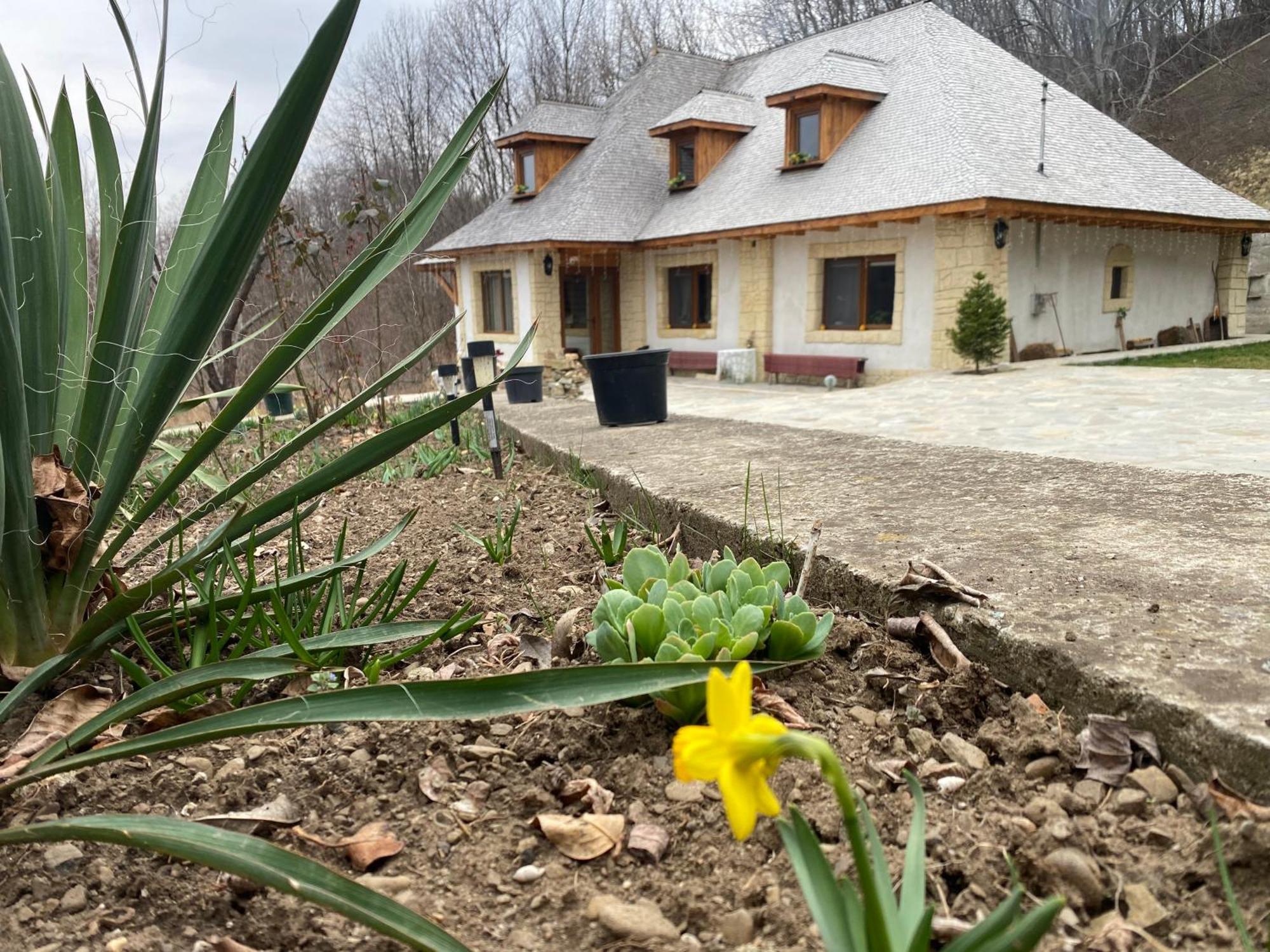 Willa Casa Cu Sindrila Vălenii de Munte Zewnętrze zdjęcie
