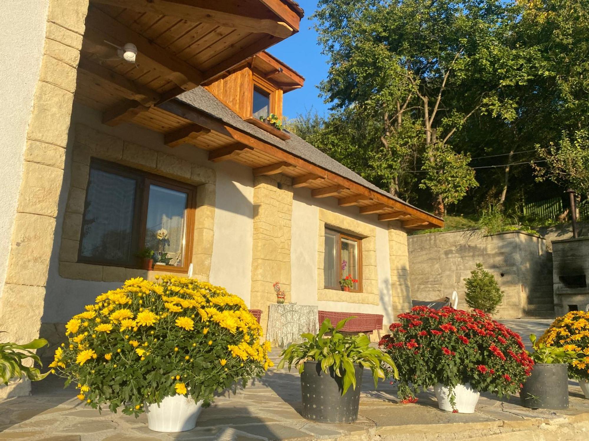 Willa Casa Cu Sindrila Vălenii de Munte Zewnętrze zdjęcie